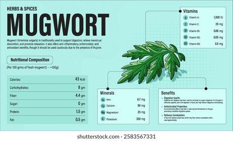 Mugwort Herb Nutrition Facts and Health Benefits–Detailed Vector Infographic for Healthy Eating and Wellness