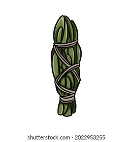 Mugwort smudge stick tied with thread hand-drawn doodle isolated illustration. Mugwort herb bundle