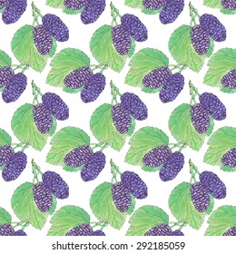 Mulberries. Seamless pattern with berries. Hand-drawn background. Vector illustration. Real watercolor drawing.