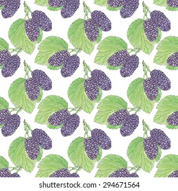 Mulberries. Seamless pattern with berries. Hand-drawn background. Vector illustration. Real watercolor drawing.