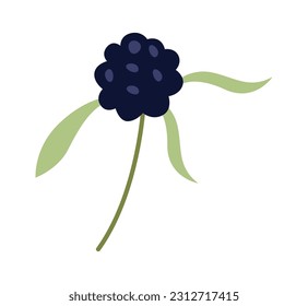 Mulberry Berry On Stem Vector Illustration