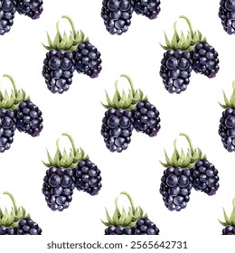 Mulberry or blackberry isolated vector illustration on white, dark blue garden or forest berry fruits. Ripe mulberry and blackberry jam fruits, fresh berry vector seamless pattern.