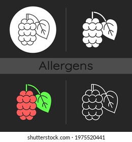 Mulberry dark theme icon. Morus fruit, blackberry on branch. Fresh nutrient food ingredient. Allergy for plant. Linear white, simple glyph and RGB color styles. Isolated vector illustrations