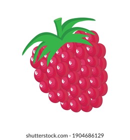 mulberry delicious fresh fruit nature icon vector illustration design