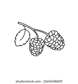 
Ilustración vectorial plana de arte de línea de fruta de morera