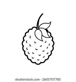 Mulberry fruit outline vector on white beckground.