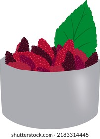 Mulberry fruits and a leaf in a container.
