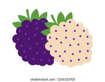 Mulberry Healthy Food. Vector Illustration