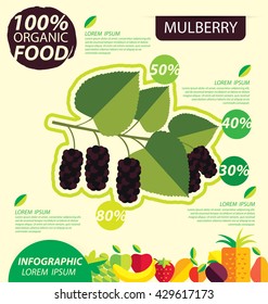 Mulberry. Infographic template. vector illustration.