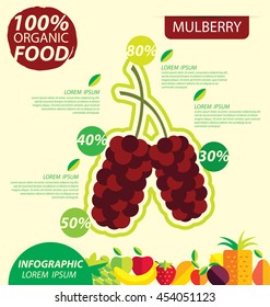 Mulberry. Infographic template. vector illustration.