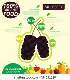 Mulberry. Infographic template. vector illustration.