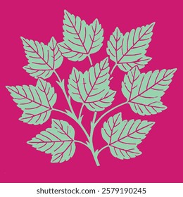 Mulberry leaves silhouette, mulberry leaves silhouette in vector format, used for pattern making, used for decoration in various forms.