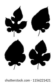 Mulberry leaves. Silhouettes of leaves. Vector collection of leaf isolated on white background.
