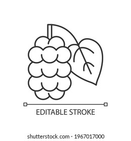 Mulberry linear icon. Morus fruit, blackberry on branch. Food ingredient. Allergy for plant. Thin line customizable illustration. Contour symbol. Vector isolated outline drawing. Editable stroke