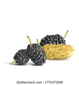 Mulberry low poly. Fresh, nutritious, tasty mulberry. Sweet black and white mulberry. Vector illustration. Mulberry in triangulation technique.