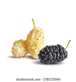 Arándanos bajos. Fresca, nutritiva, deliciosa morera. Morera dulce en blanco y negro. Ilustración vectorial. Mulberry en técnica de triangulación.