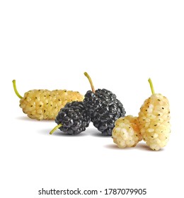 Mulberry-Low-Poly Frische, nahrhafte, leckere Maulbeere. Süße schwarz-weiße Maulbeere. Vektorgrafik. Mulberry in Triangulationstechnik.
