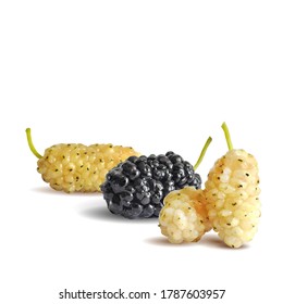 Arándanos bajos. Fresca, nutritiva, deliciosa morera. Morera dulce en blanco y negro. Ilustración vectorial. Mulberry en técnica de triangulación.