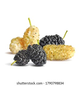 Arándanos bajos. Fresca, nutritiva, deliciosa morera. Morera dulce en blanco y negro. Ilustración vectorial. Mulberry en técnica de triangulación.