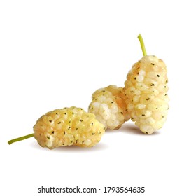 Arándanos bajos. Fresca, nutritiva, deliciosa morera. Morera blanca dulce. Ilustración vectorial. Mulberry en técnica de triangulación.