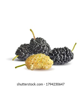 Mulberry low poly. Fresh, nutritious, tasty mulberry. Sweet black and white mulberry. Mulberry in triangulation technique.