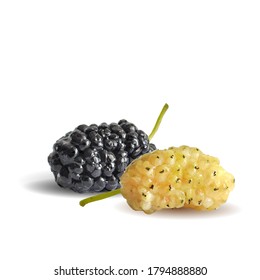 Mulberry low poly. Fresh, nutritious, tasty mulberry. Sweet black and white mulberry. Mulberry in triangulation technique.