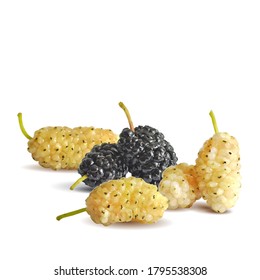 Arándanos bajos. Fresca, nutritiva, deliciosa morera. Morera dulce en blanco y negro. Mulberry en técnica de triangulación.
