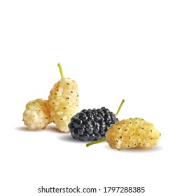 Mulberry low poly. Fresh, nutritious, tasty mulberry. Sweet black and white mulberry. Mulberry in triangulation technique.