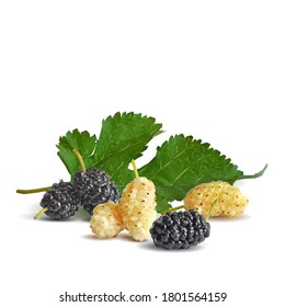 Arándanos bajos. Fresca, nutritiva, deliciosa morera. Morera dulce en blanco y negro. Mulberry en técnica de triangulación.