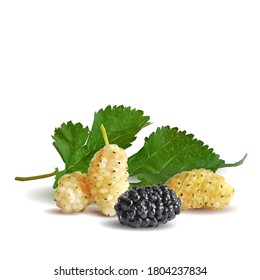 Mulberry low poly. Fresh, nutritious, tasty mulberry. Sweet black and white mulberry. Mulberry in triangulation technique.