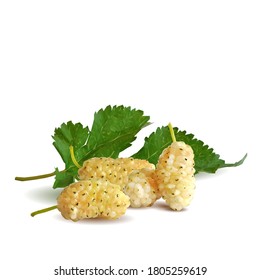 Arándanos bajos. Fresca, nutritiva, deliciosa morera. Morera blanca dulce. Ilustración vectorial. Mulberry en técnica de triangulación.