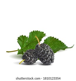 Mulberry low poly. Fresh, nutritious, tasty mulberry. Sweet black mulberry. Vector illustration. Mulberry in triangulation technique.