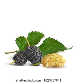 Mulberry low poly. Fresh, nutritious, tasty mulberry. Sweet black and white mulberry. Mulberry in triangulation technique.
