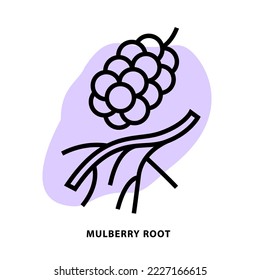 Mulberry root linear icon design for application or web design template. Vector line icon with blot shape background.