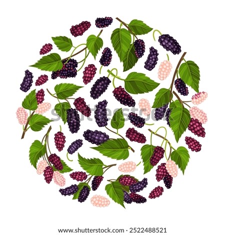 Mulberry Round Composition Design with Garden Fruit Growing Vector Template