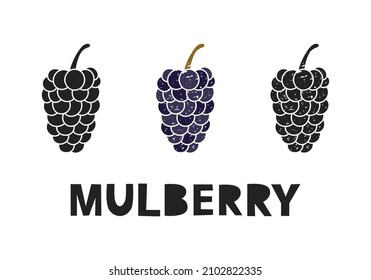 Mulberry, silhouette icons set with lettering. Imitation of stamp, print with scuffs. Simple black shape and color vector illustration. Hand drawn isolated elements on white background