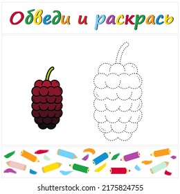 Mulberry. Task name "Trace and Color" in Russian. A page of a coloring book with a colorful berry. Repair the dotted line. Educational game. Cartoon style. Vector illustration for children, eps
