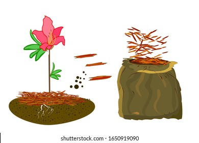 Mulch gardening concept  with azalea, red mulch and bag isolated on white background. Agriculture countryside outdoor seasonal work. Mulching of plants, soil protection. Landscape design mulch. Vector