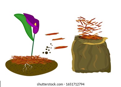 Mulch gardening concept  with calla lilies, red mulch and bag isolated on white. Agriculture countryside outdoor seasonal work. Mulching of plants, soil protection. Landscape design mulch.Stock vector