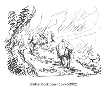 Mule caravan carrying load in mountains, This type of cargo transport widely used in himalayas, Vector sketch, Hand drawn illustration