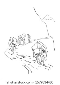 Mule caravan carrying load in mountains, This type of cargo transport widely used in himalayas, Vector sketch, Hand drawn linear illustration