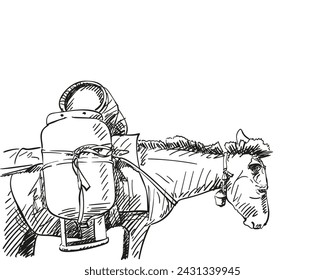 Mule carrying heavy gas cylinders on its back vector sketch, Hand drawn illustration of type of cargo transport widely used in himalayas, A heavily laden animal