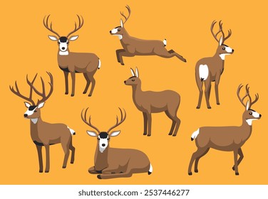 Mule Deer Various Poses Character Vector Illustration