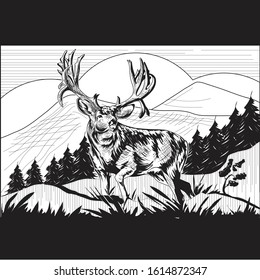 Mule Deer vector design and illustration 