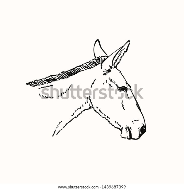 Mule Head Vector Sketch Hand Drawn Stock Vector (Royalty Free) 1439687399