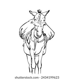 Mule with heavy load on his back front view, Vector line sketch, A cargo animal isoalted, This type of cargo transport widely used in Himalayas, Hand drawn illustration