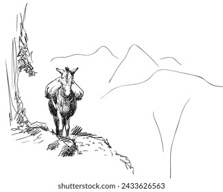 Mule standing on mountain path with heavy load on his back, Vector sketch, This type of cargo transport widely used in Himalayas, Hand drawn illustration, A heavily laden animal