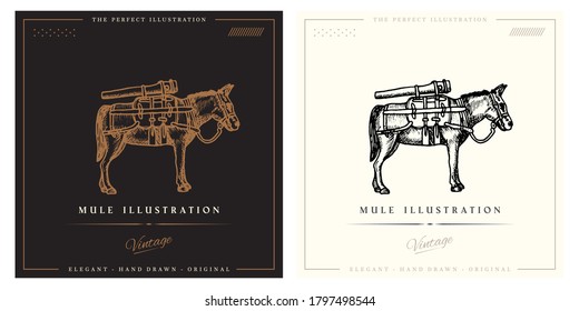 Mule Vintage Vector Illustration For Logo