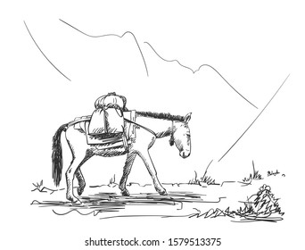 Mule walking in mountains with load on his back, This type of cargo transport widely used in himalayas, Vector sketch, Hand drawn illustration