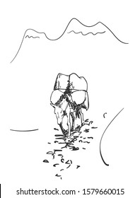 Mule walking in mountains with load on his back, This type of cargo transport widely used in himalayas, Vector sketch, Hand drawn illustration